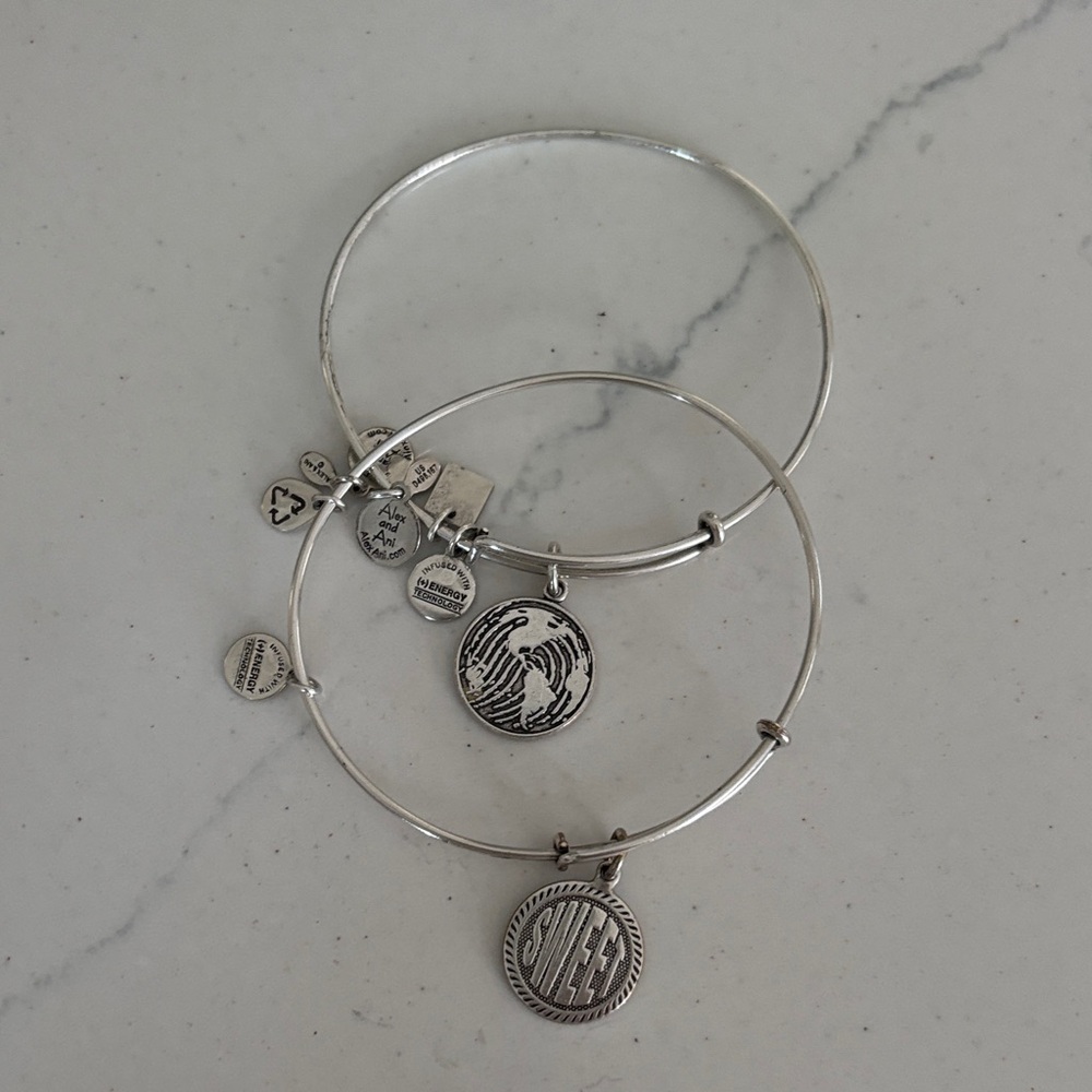 Alex and Ani Silver Charm Bracelet Duo